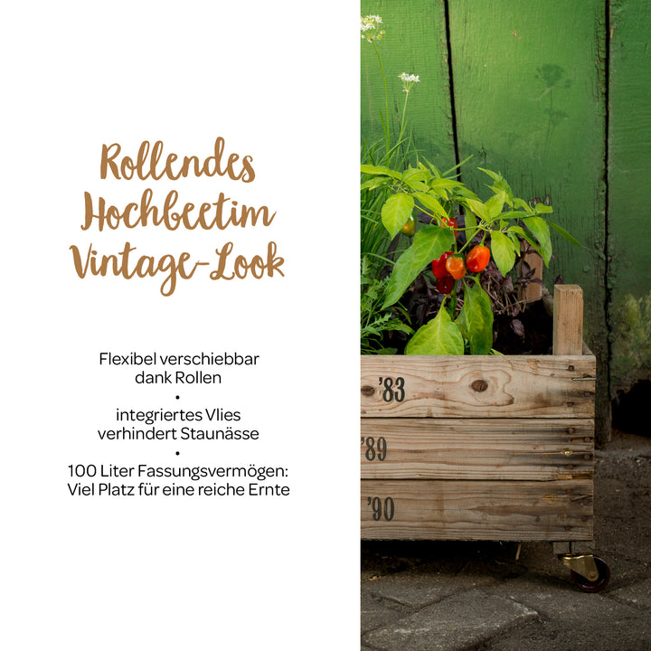 Caja de madera con plantas a modo de jardinera elevada con ruedas de aspecto vintage delante de una pared de madera verde, al lado texto con la descripción del producto.