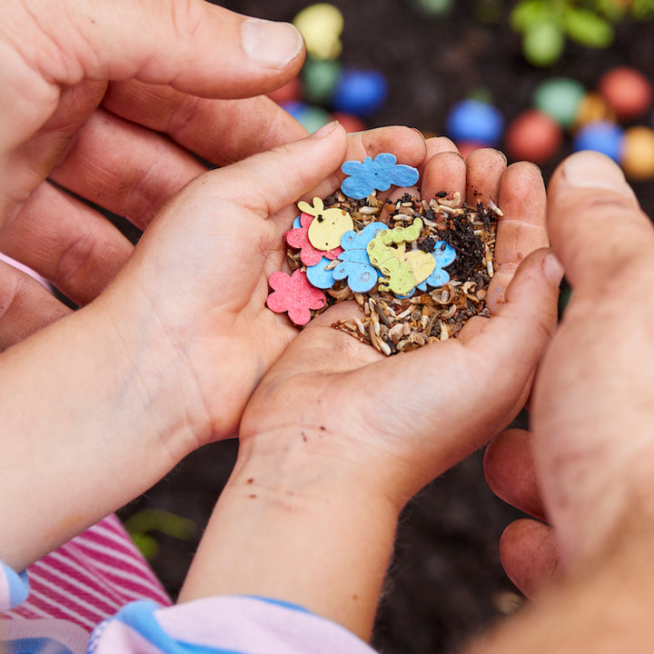 Dos manos sosteniendo semillas de colores y confeti de flores para plantar en el jardín.