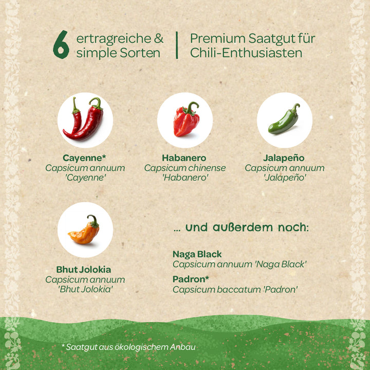 Seis variedades diferentes de chile como semillas premium para los entusiastas del chile, incluidos Cayenne, Habanero, Jalapeño, Bhut Jolokia, Naga Black y Padron, que se muestran sobre un fondo beige.