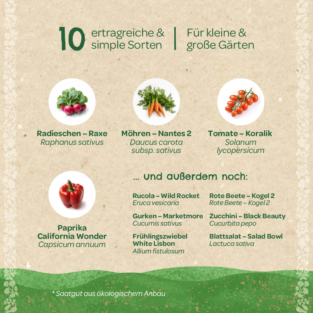 Gráfico informativo con imágenes de rábanos, zanahorias, tomates y pimientos, así como una lista de diez verduras de alto rendimiento para jardines pequeños y grandes, con nombres alemanes y botánicos.