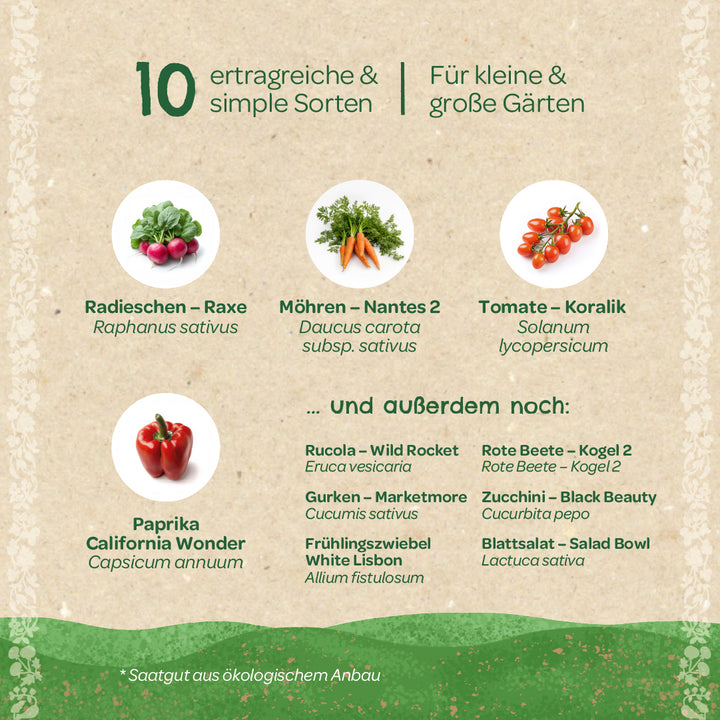 Gráfico informativo con imágenes de rábanos, zanahorias, tomates y pimientos, así como una lista de diez verduras de alto rendimiento para jardines pequeños y grandes, con nombres alemanes y botánicos.
