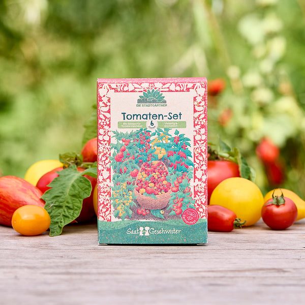 Un paquete de "Tomato Set" con coloridas ilustraciones de tomates se encuentra sobre una mesa de madera, rodeado de varios tomates frescos al aire libre.