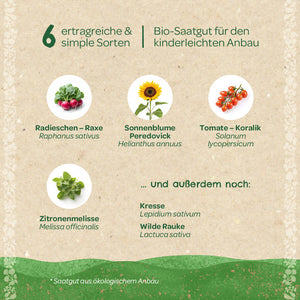 Seis semillas de hortalizas orgánicas de alto rendimiento y fácil cultivo, que incluyen rábano, girasol, tomate, melisa, berro y rúcula silvestre, sobre un fondo beige con decoración verde.