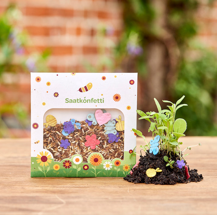 Embalaje con “confeti de semillas” y junto a él plantas jóvenes brotando del suelo.