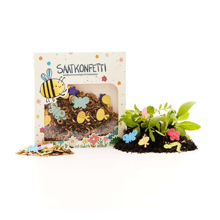 Empaque con confeti de semillas elaborado con semillas de flores silvestres y papel de semillas en formas coloridas, junto a tierra con plantas brotando y confeti decorativo.