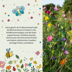 La mitad izquierda de la imagen muestra texto sobre semillas de flores silvestres, ilustrado con flores coloridas, mariposas y abejas; la mitad derecha de la imagen muestra un prado de flores colorido y floreciente en el jardín.