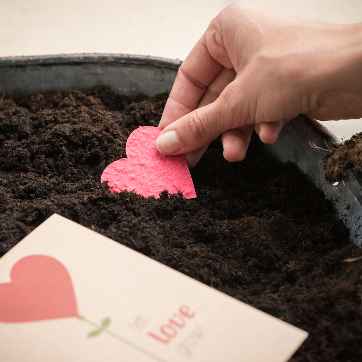 Una mano planta un corazón de papel rojo en tierra oscura, junto a él hay una tarjeta con un motivo de corazón.