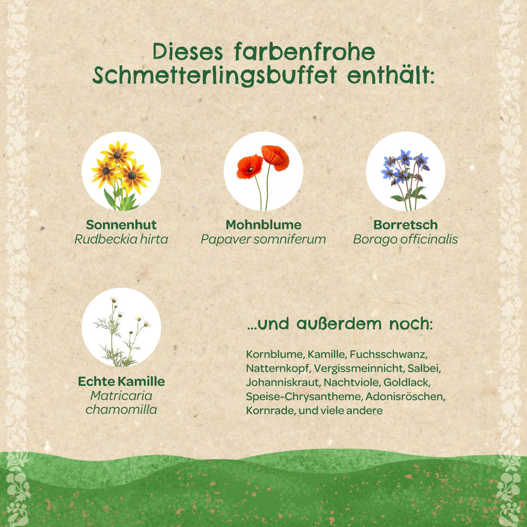 Infografía en alemán con diversas flores silvestres como la equinácea, la amapola, la borraja y la manzanilla presentadas a modo de buffet de mariposas, así como una lista de otras especies de flores.