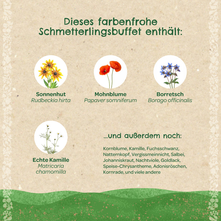 Infografía en alemán con diversas flores silvestres como la equinácea, la amapola, la borraja y la manzanilla presentadas a modo de buffet de mariposas, así como una lista de otras especies de flores.