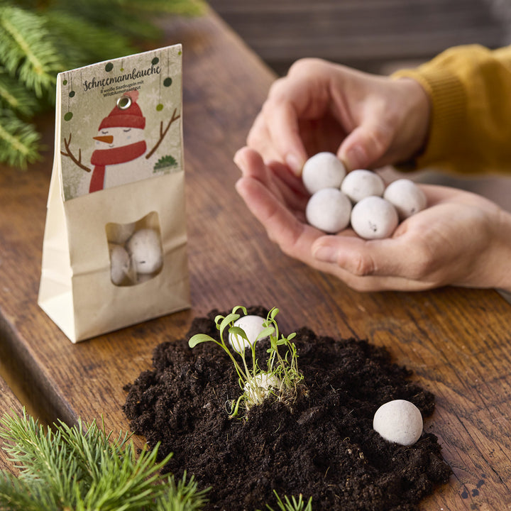 Las manos sostienen varias bolas de semillas redondas sobre la tierra con pequeñas plántulas, al lado de una bolsa etiquetada "Snowman Bellies".