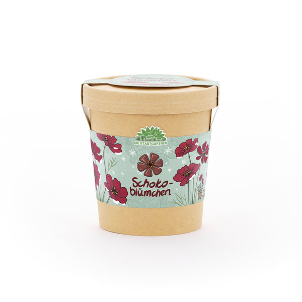 Flores de chocolate de la taza