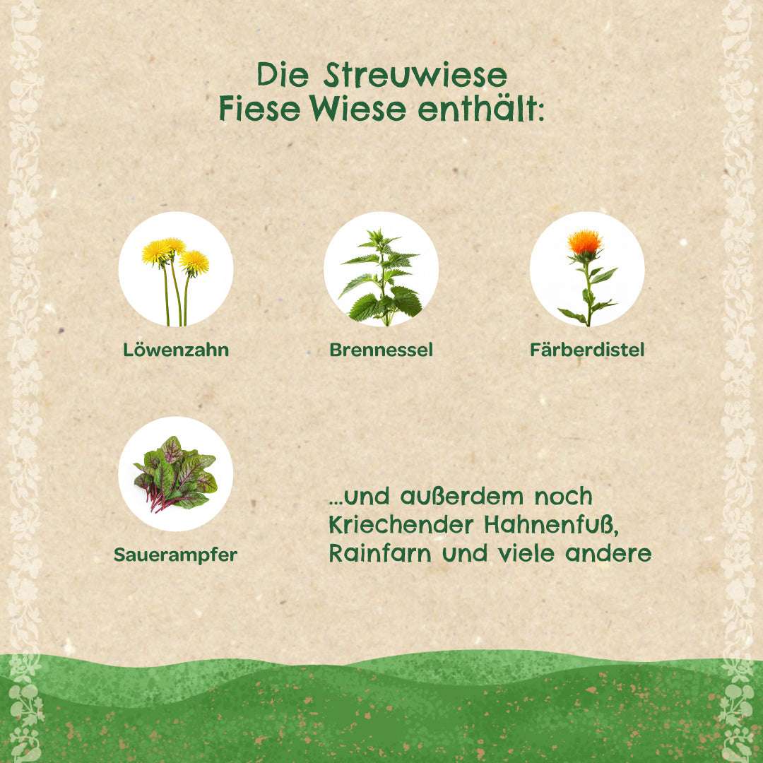 Gráfico con ilustraciones y nombres de diente de león, ortiga, cártamo y acedera, así como texto que enumera otras plantas de un prado.