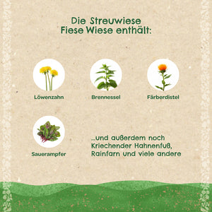 Gráfico con ilustraciones y nombres de diente de león, ortiga, cártamo y acedera, así como texto que enumera otras plantas de un prado.