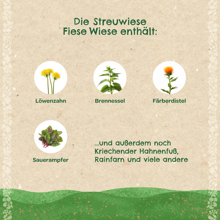 Gráfico con ilustraciones y nombres de diente de león, ortiga, cártamo y acedera, así como texto que enumera otras plantas de un prado.