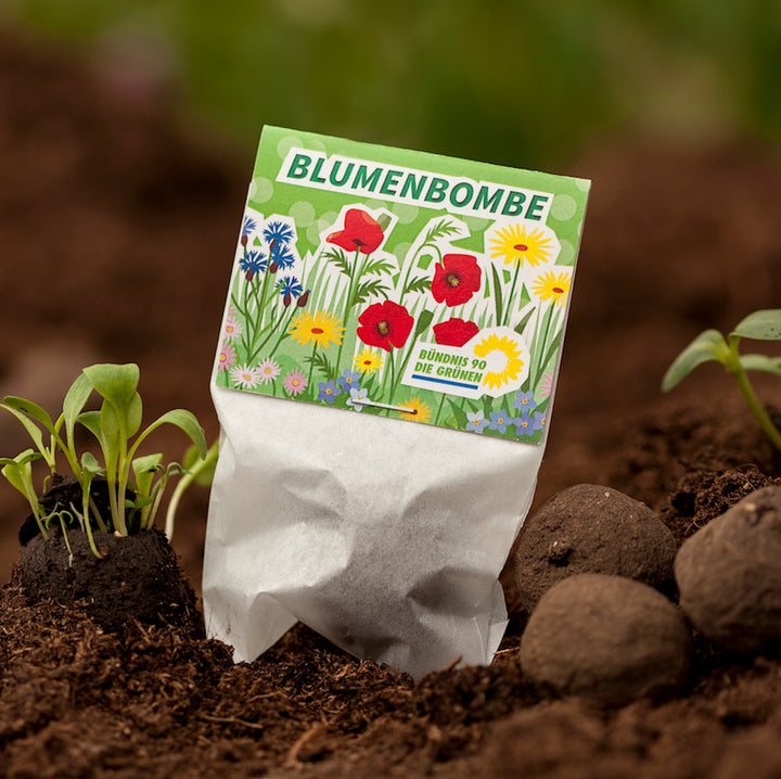 Paquete “Flower Bomb” en tierra con plantas germinadoras y bolas de semillas.