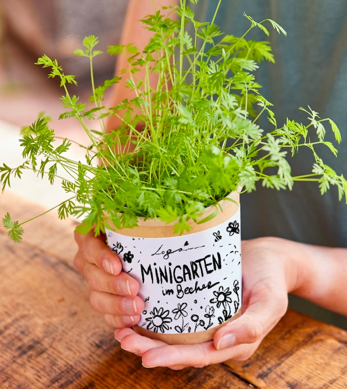 Una persona sostiene una pequeña taza que contiene hierbas verdes y una etiqueta que dice "Mini jardín en una taza".