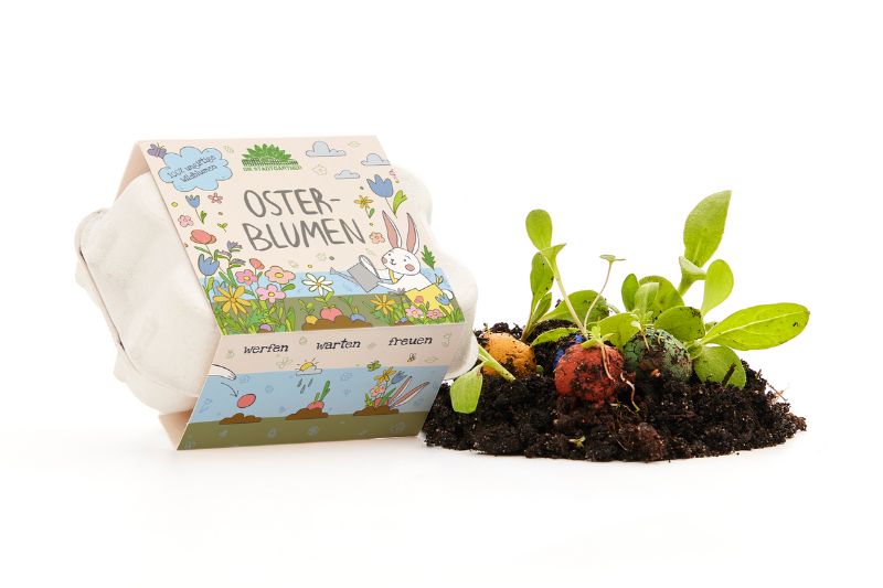 Pequeño nido de Pascua - Set para pequeños exploradores