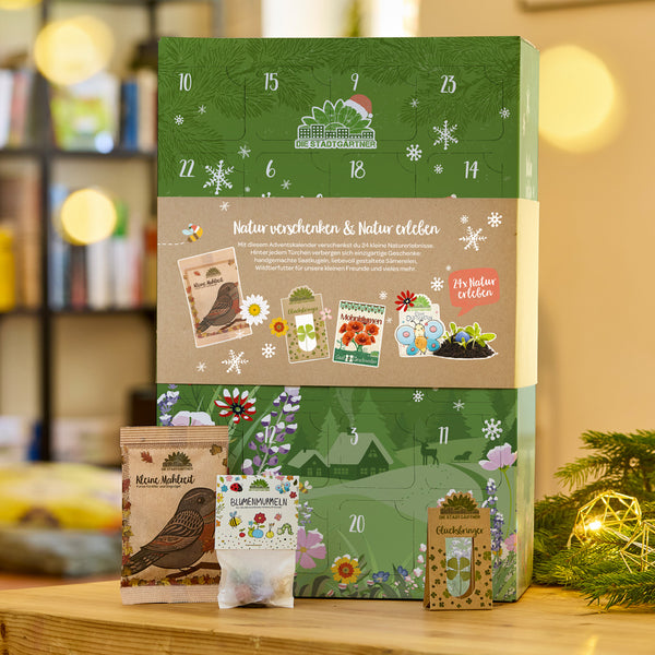 Calendario de Adviento verde con motivos de naturaleza, pequeños paquetes de semillas e ilustración de un pájaro, sobre una mesa de madera junto a adornos navideños.