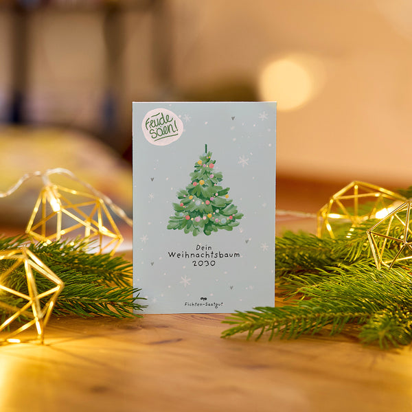 Semillas de abeto "Árbol de Navidad 2030"