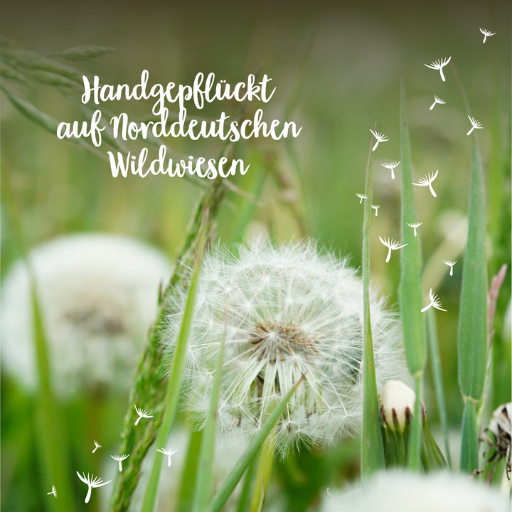 Flores de diente de león y cabezas de semillas en un prado con el texto "Recogido a mano en prados silvestres del norte de Alemania".