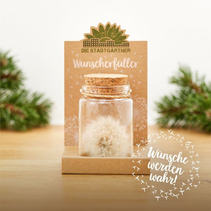 Glasfläschchen mit Löwenzahn-Pusteblume, aufgestellt vor einer Verpackung mit der Aufschrift "Wunscherfüller" und "Wünsche werden wahr!", im Hintergrund grüne Tannenzweige.