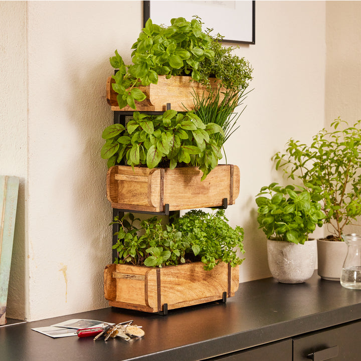 Pilas de cajas de madera con hierbas frescas sobre la encimera de la cocina, junto a ellas hay más macetas de hierbas y algunas llaves.