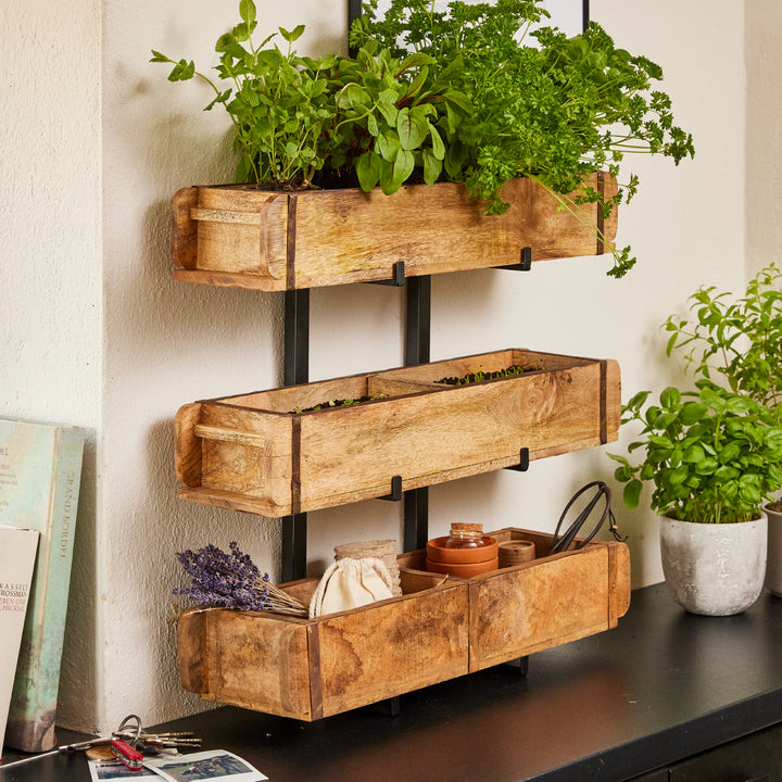 Estantería de madera en la pared con tres niveles, llena de hierbas y pequeños artículos para el hogar, al lado hay una maceta con albahaca.