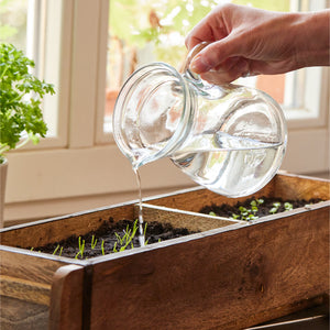 Una mano vierte agua de una jarra de vidrio en una maceta de madera con plantas jóvenes en el alféizar de una ventana.