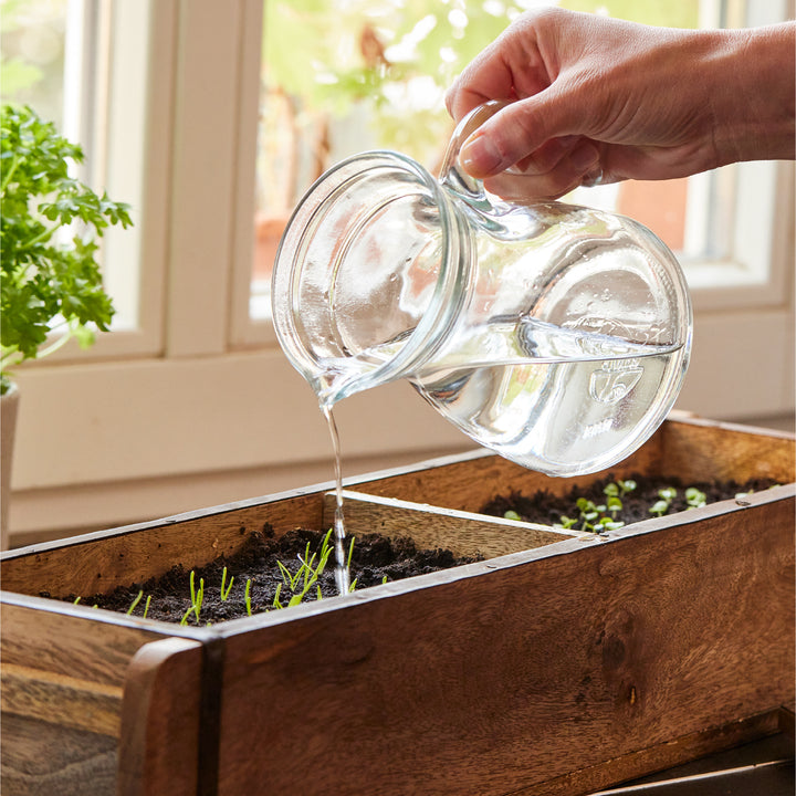 Una mano vierte agua de una jarra de vidrio en una maceta de madera con plantas jóvenes en el alféizar de una ventana.
