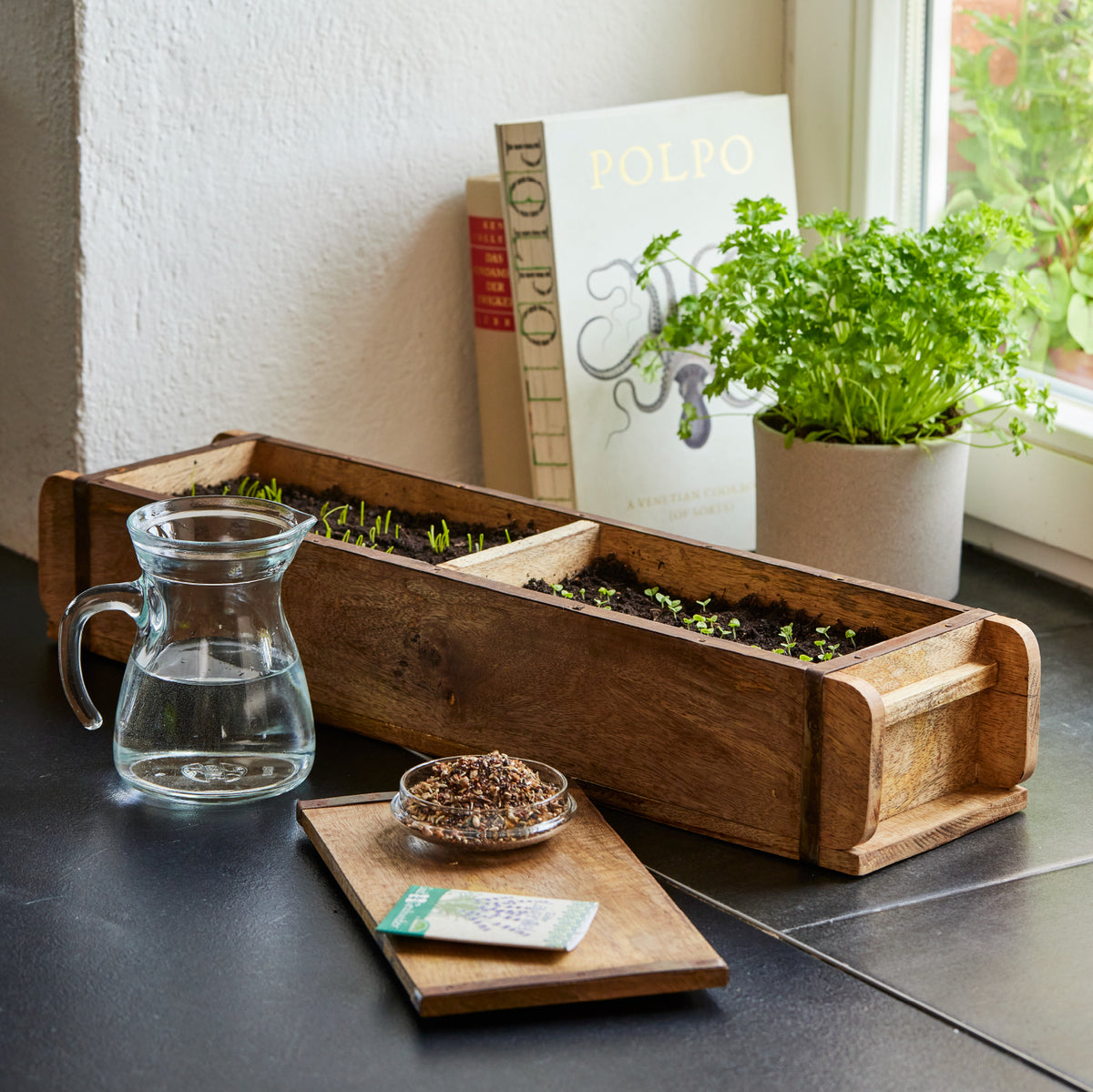 Caja de madera con plántulas de hierbas en el alféizar de una ventana, junto a ella un vaso de agua, una maceta de perejil fresco, un libro de cocina y un recipiente con semillas.