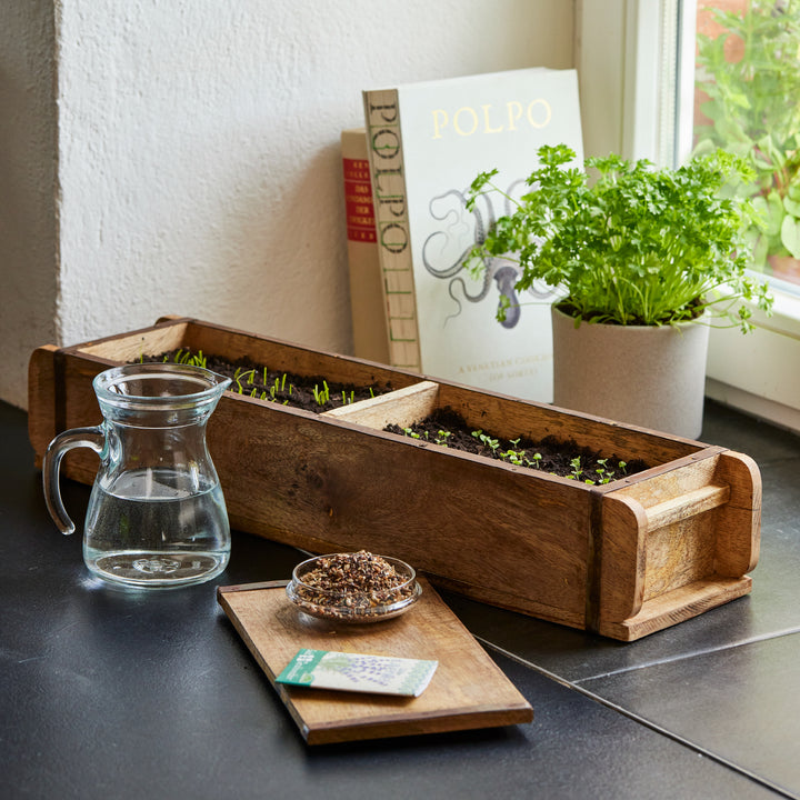 Caja de madera con plántulas de hierbas en el alféizar de una ventana, junto a ella un vaso de agua, una maceta de perejil fresco, un libro de cocina y un recipiente con semillas.