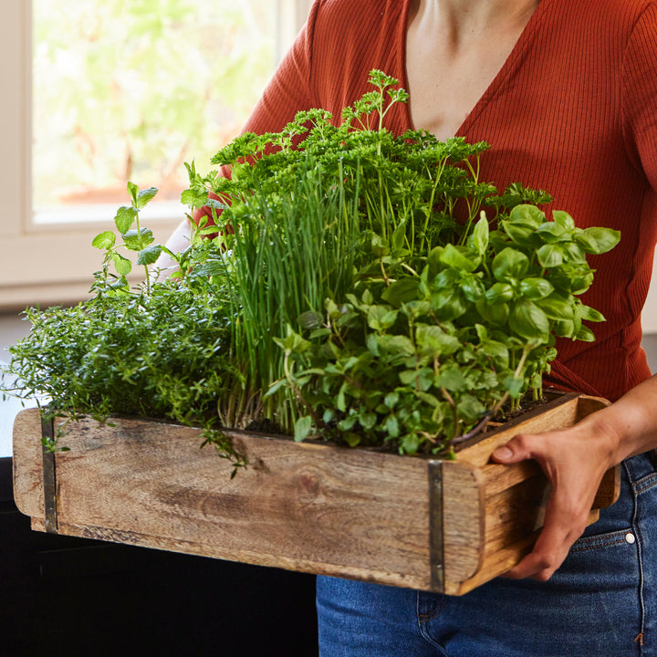 Mujer sosteniendo una caja de madera con hierbas frescas como albahaca, perejil y cebollino.
