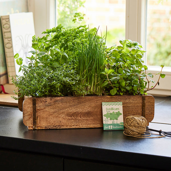 Jardín de hierbas en una caja de madera sobre la encimera de una cocina frente a una ventana.