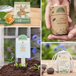 Cuatro imágenes que representan escenas de jardín con productos vegetales: una bolsa de semillas de Physalis, una mano que sostiene una caja de protección para abejas silvestres, un marcador de plantas con la inscripción «Hello Sunshine» junto a las plántulas y bombas de semillas junto a una bolsa de «Bee Welfare».