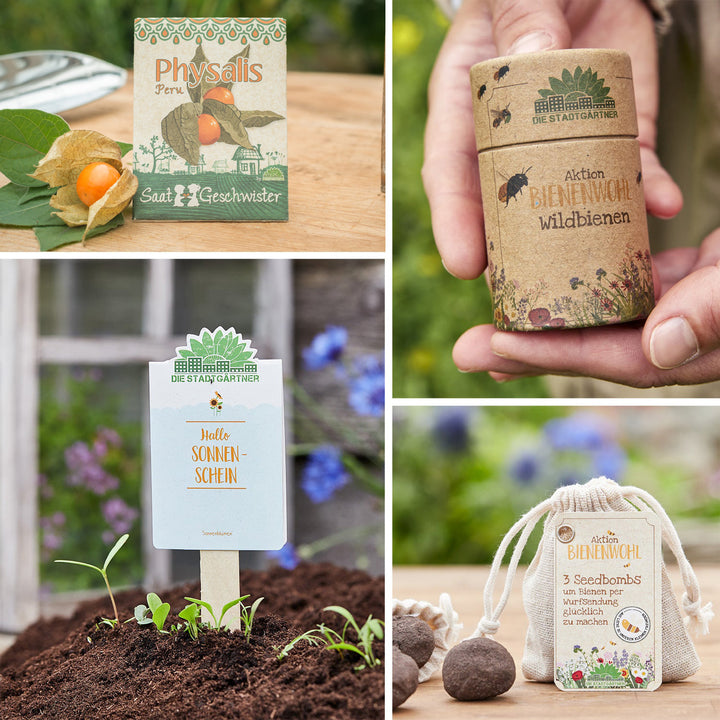 Cuatro imágenes que representan escenas de jardín con productos vegetales: una bolsa de semillas de Physalis, una mano que sostiene una caja de protección para abejas silvestres, un marcador de plantas con la inscripción «Hello Sunshine» junto a las plántulas y bombas de semillas junto a una bolsa de «Bee Welfare».