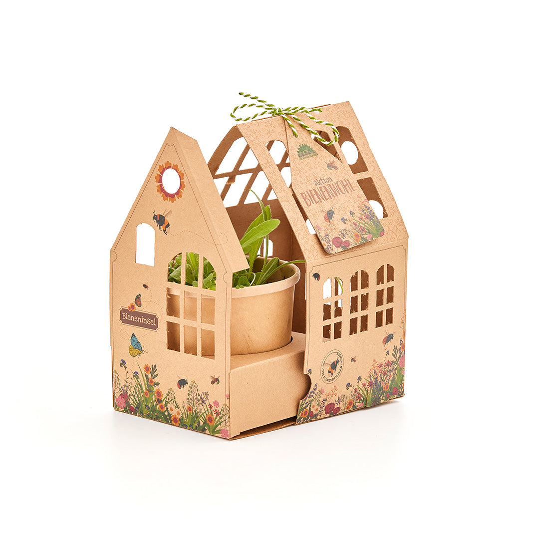 Casa de cartón con motivos florales que contiene una pequeña maceta con plantas verdes.