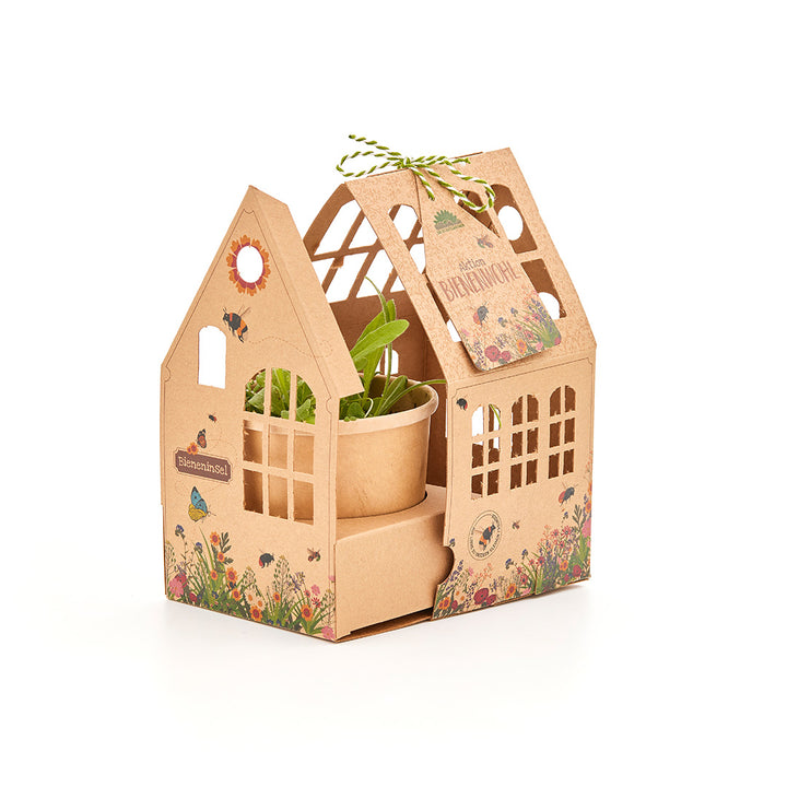 Casa de cartón con motivos florales que contiene una pequeña maceta con plantas verdes.