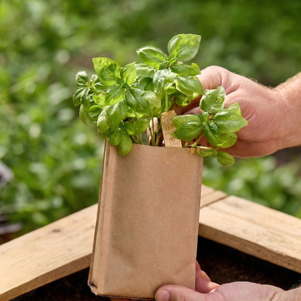 Tierra para germinación BIO (600 g)