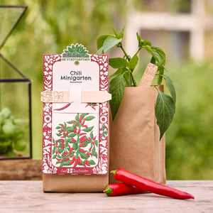 Kit de cultivo de mini huerto de chile en una bolsa marrón con una planta verde y dos chiles rojos sobre una mesa de madera, con un jardín al fondo.