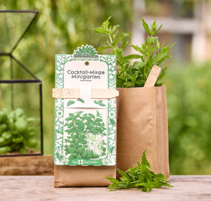 Kit de cultivo de menta cóctel en una bolsa de papel marrón con una planta de menta fresca y un cartel de madera, con un jardín verde al fondo.