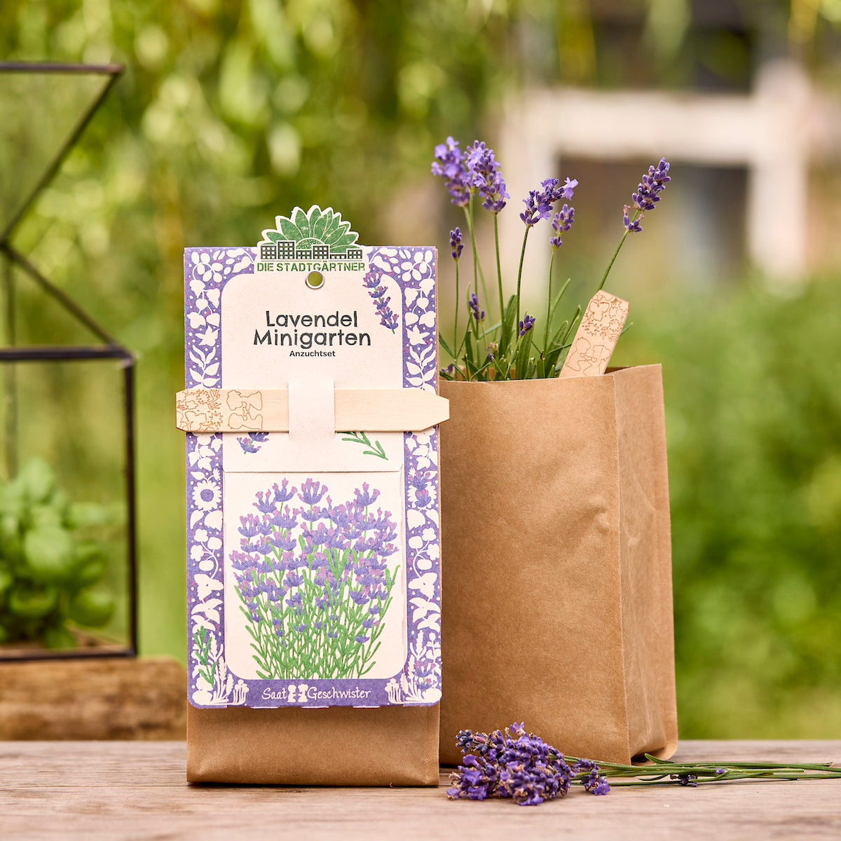 Kit de cultivo para un mini jardín de lavanda en una bolsa de papel marrón, con ramas de lavanda en flor en el fondo.
