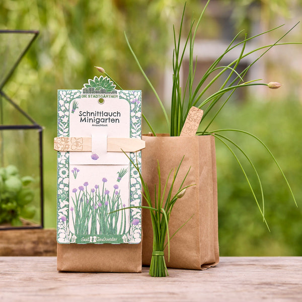 Dos bolsas de papel marrón que contienen plantas de cebollino y un kit de cultivo etiquetado "Chive Mini Garden" sobre una mesa de madera en un entorno verde.