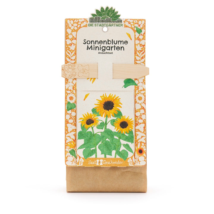 Kit de cultivo de mini jardín de girasoles con girasoles ilustrados en el embalaje.
