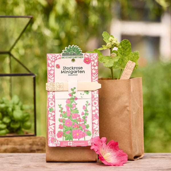 Un kit de cultivo “Mini jardín de malvarrosa” en una bolsa de papel marrón, junto a él una planta joven de malvarrosa y una flor rosa, con plantas verdes en el fondo.