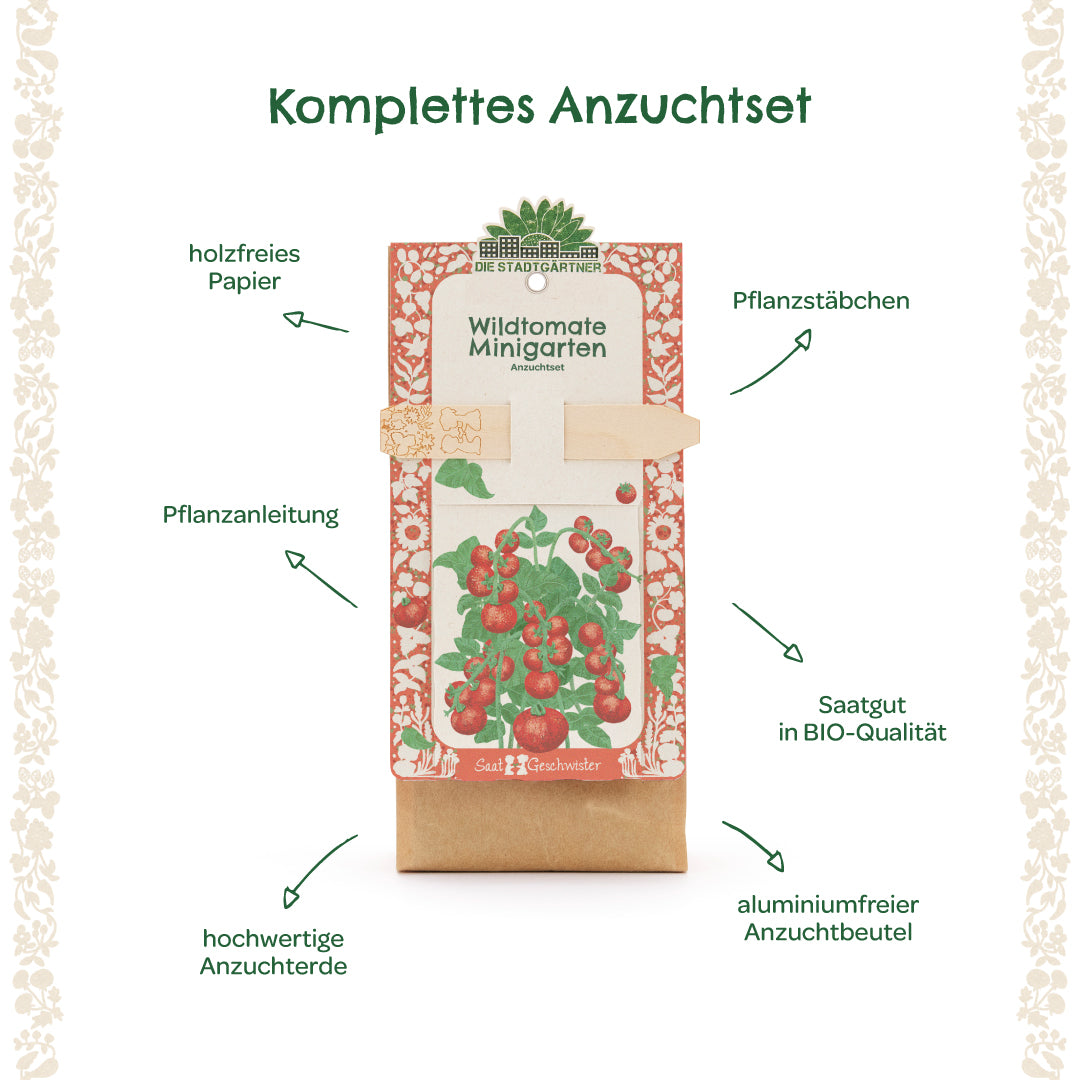 Ilustración de un kit de cultivo completo para tomates silvestres con instrucciones de plantación, palos de plantación, tierra para macetas de alta calidad, semillas orgánicas, papel sin madera y bolsa sin aluminio.