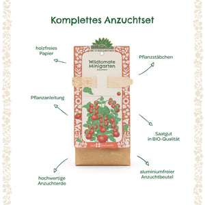 Ilustración de un kit de cultivo completo para tomates silvestres con instrucciones de plantación, palos de plantación, tierra para macetas de alta calidad, semillas orgánicas, papel sin madera y bolsa sin aluminio.