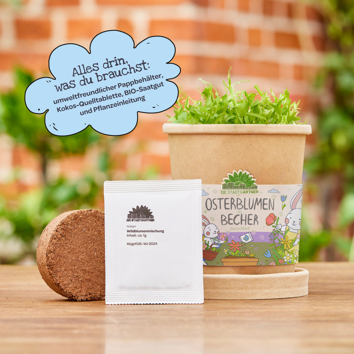Taza de flores de Pascua ecológica con plantas verdes, tableta de expansión de coco y semillas orgánicas sobre un fondo de jardín borroso; junto a una nube azul con información sobre el contenido del conjunto.