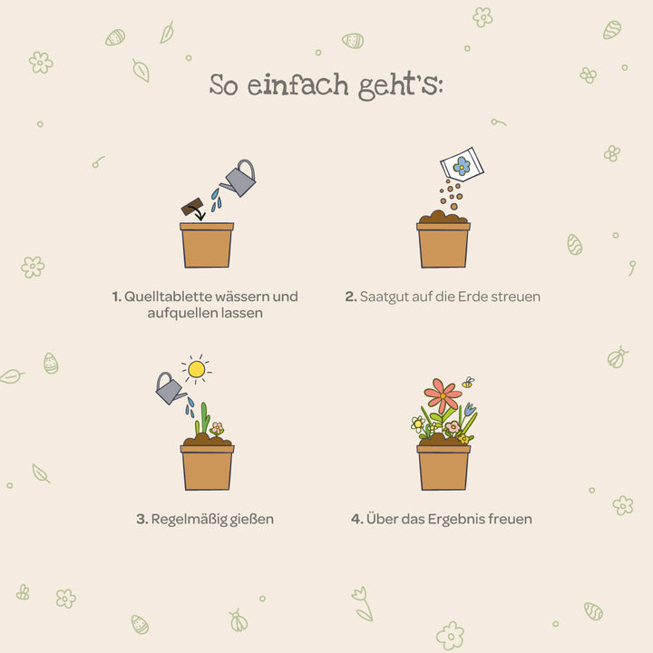 Instrucciones gráficas de plantación: 1. Regar el pellet, 2. Espolvorear las semillas, 3. Regar regularmente, 4. Disfruta de las plantas con flores.