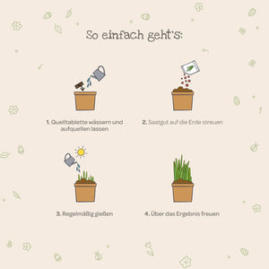 Gráfico que muestra cuatro pasos para el cultivo de plantas: regar la tableta de plántulas, esparcir las semillas, regar regularmente y disfrutar de los resultados.