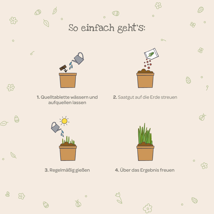 Gráfico que muestra cuatro pasos para el cultivo de plantas: regar la tableta de plántulas, esparcir las semillas, regar regularmente y disfrutar de los resultados.